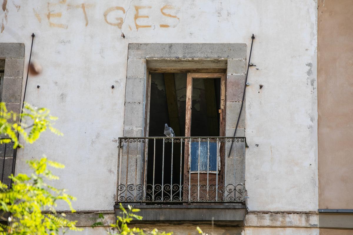 Las palomas toman un bloque abandonado en el casco antiguo de Barcelona