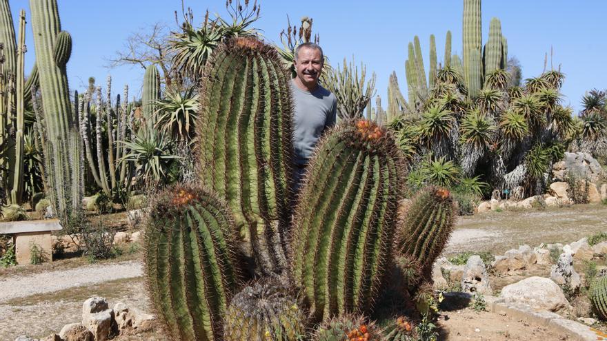 Toller Ausflug auf Mallorca: Der Kaktus-Garten bei Ses Salines öffnet nach zwei Jahren wieder seine Türen