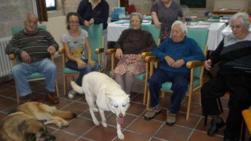 Terapia con canes en un centro de la fundación.  // FdV