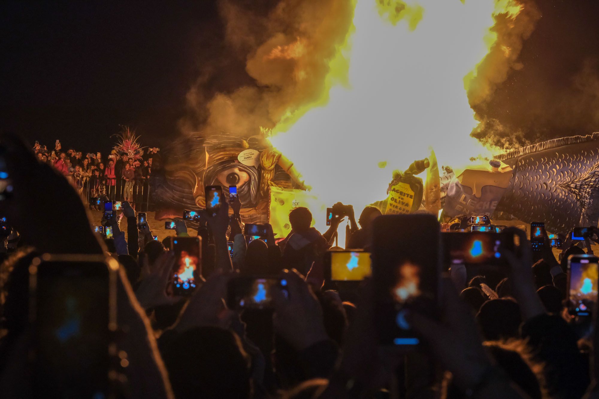 El Entierro del Boquerón del Carnaval de Málaga 2023, en imágenes