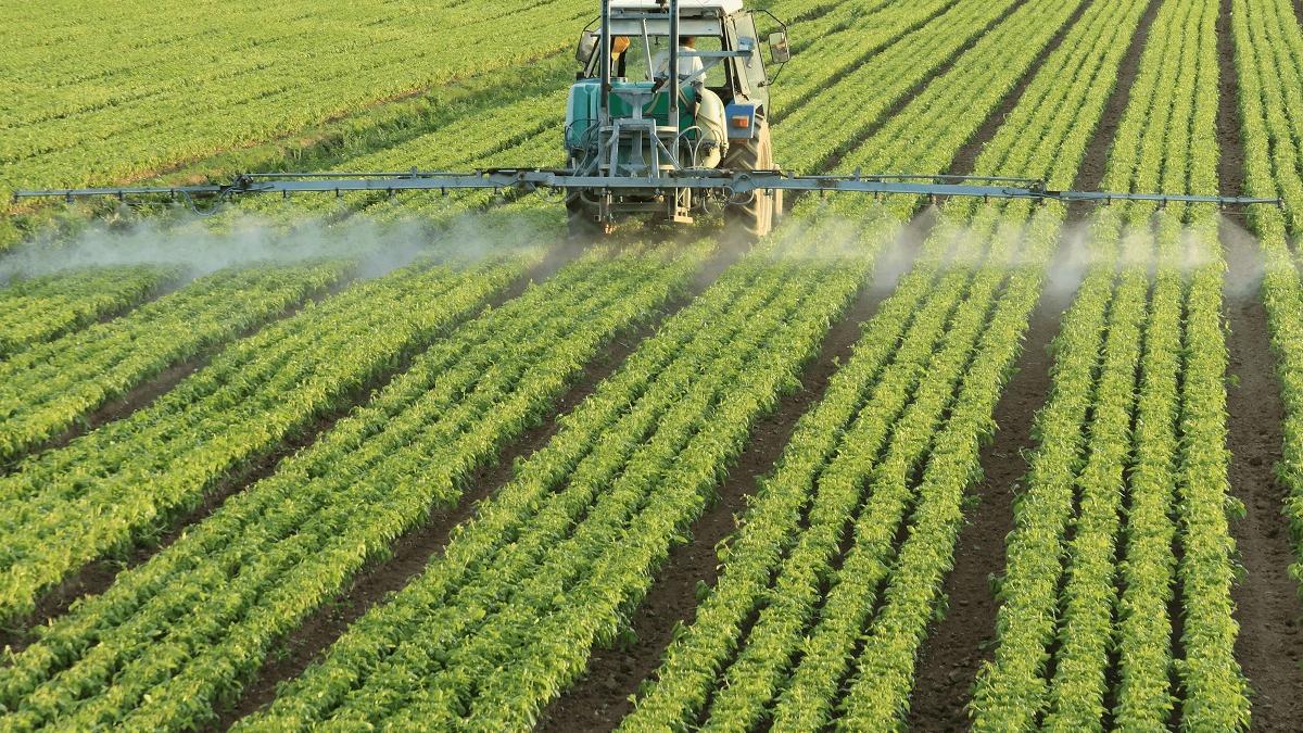 Aplicación de plaguicidas en un cultivo