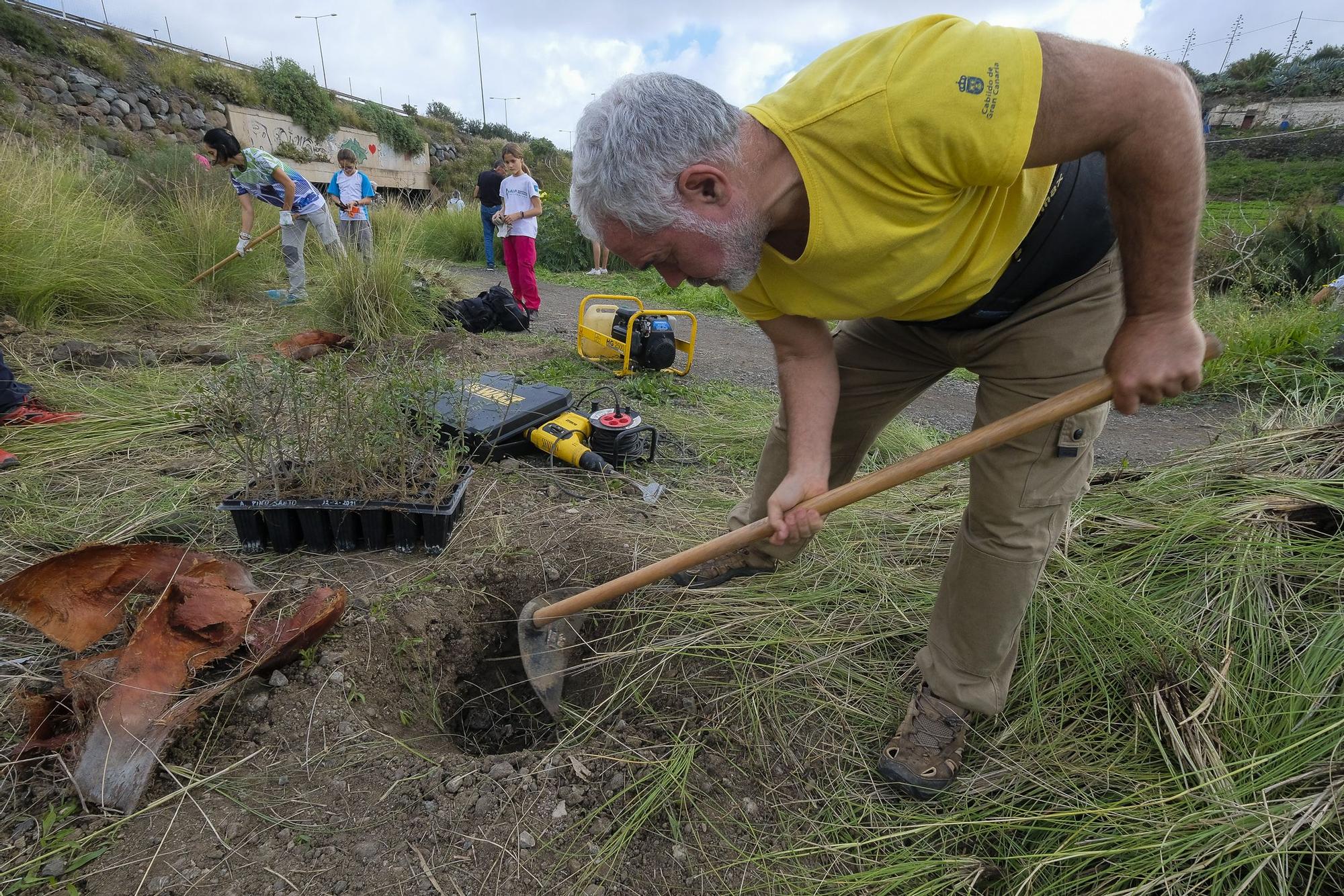 La Sinfónica de Bamberg participa en una reforestación simbólica en Tamaraceite para compensar su huella de carbono