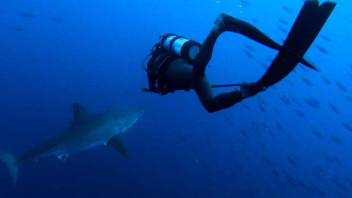 Marc Aquino acercándose para marcar a un blanco en Baja California (México).