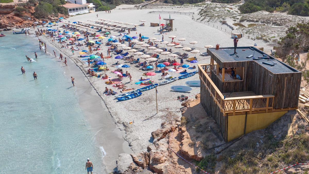 Balistas en Cala Saona