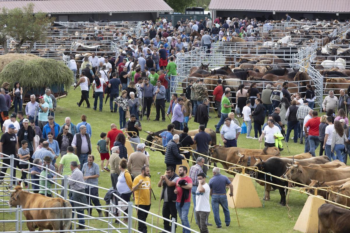 Una vista de la feria de San Isidro en una edición pasada