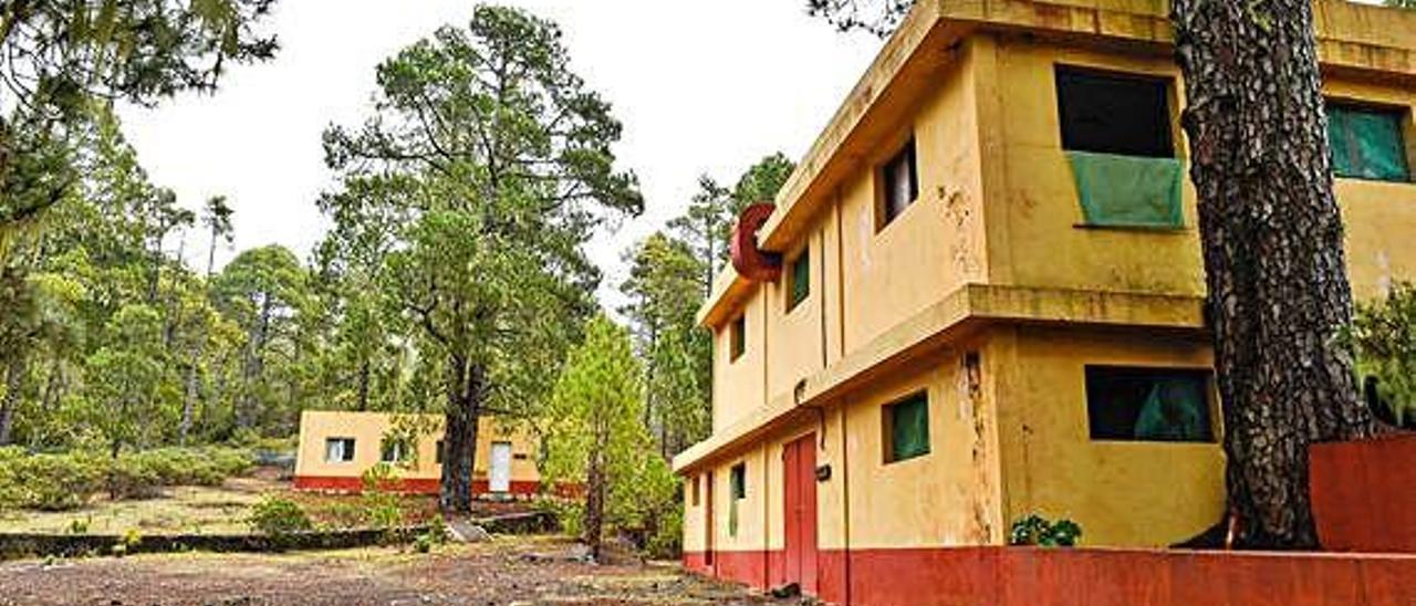 Estado actual de abandono del campamento del pinar de Tamadaba.