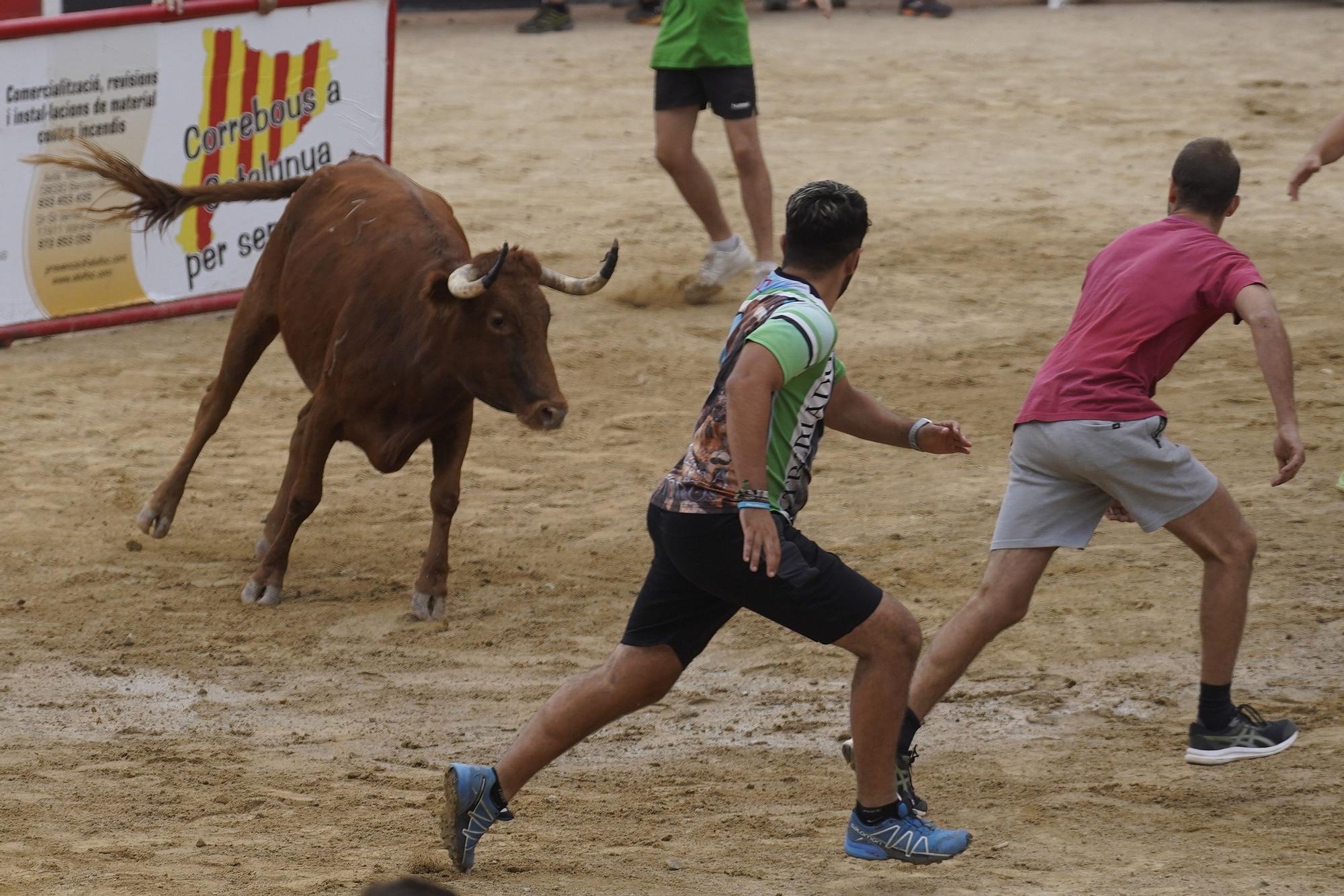 Les imatge del correbou de Vidreres