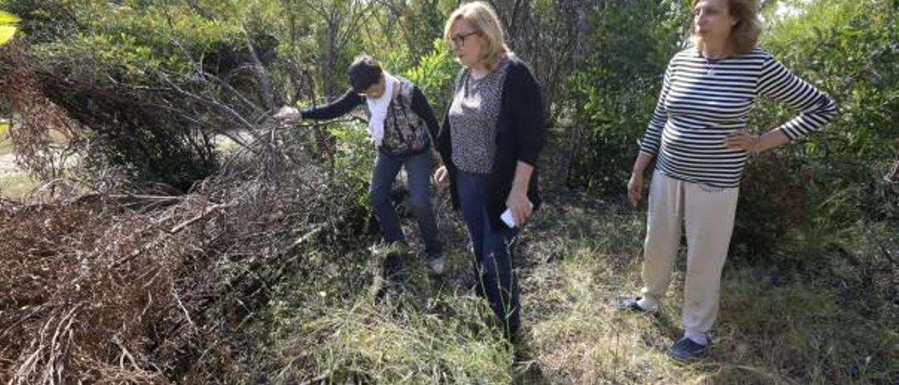 Hartos de la «jungla» de Malvasur