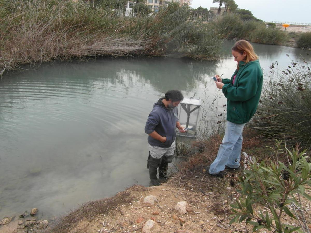 La Universitat de València estudiará el marjal del Senillar de Moraira