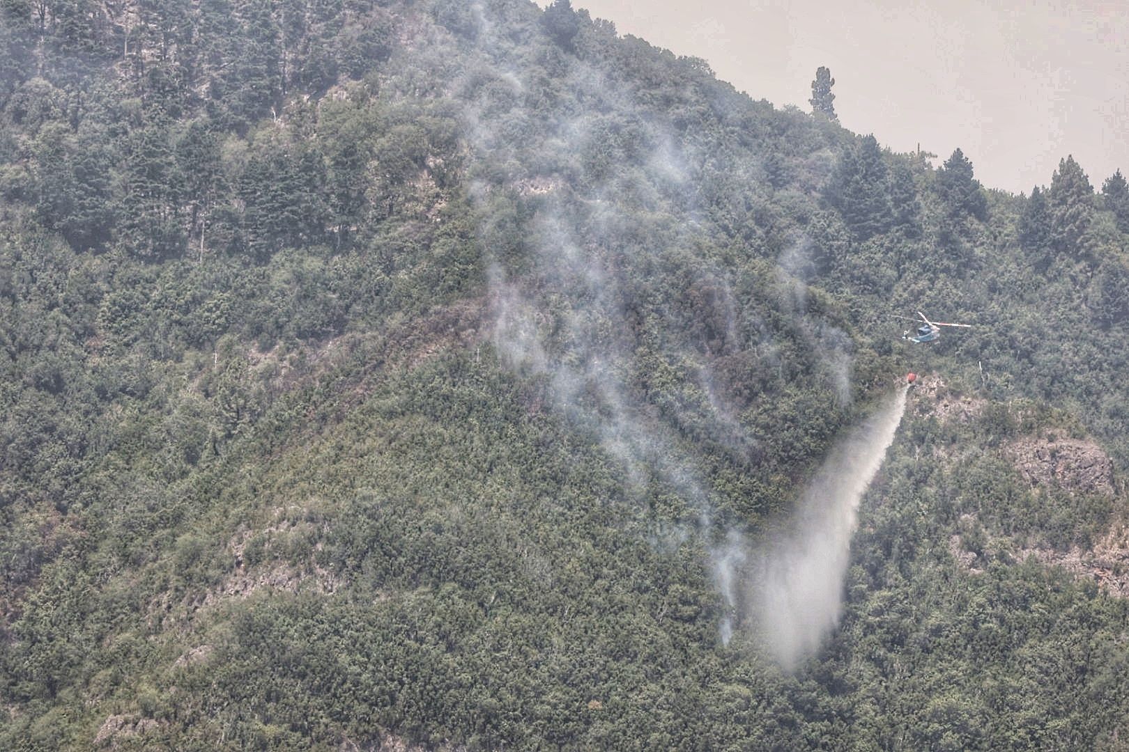 Incendio en el Norte de Tenerife (25/07/22)