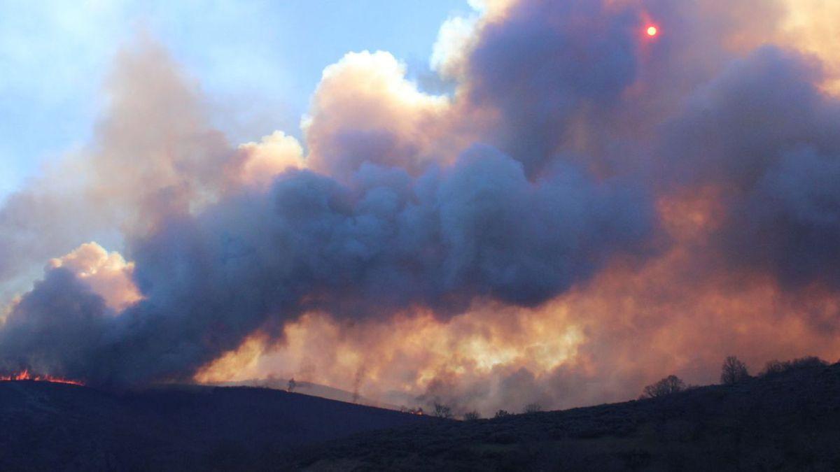 Imagen general del frente del incendio que avanzaba por el término de La Tejera, en la Alta Sanabria.