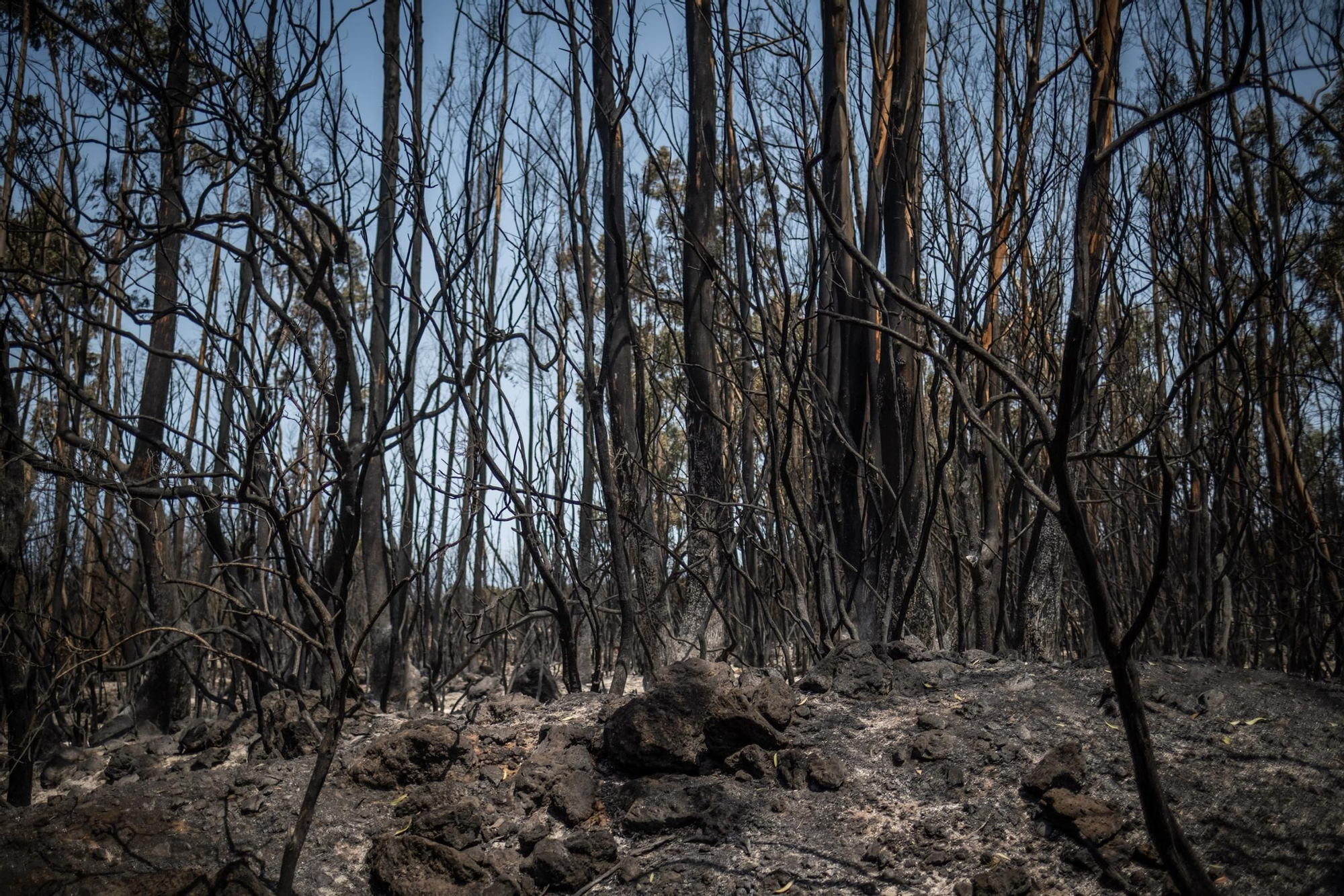 Monitoring of the fire in Tenerife
