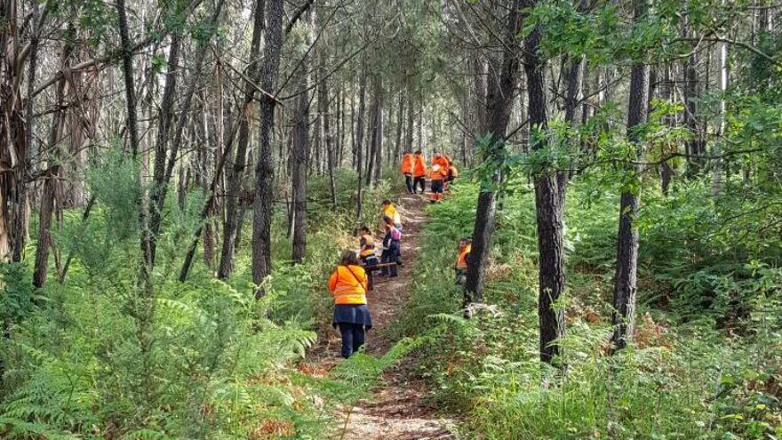 Voluntarios peinando el monte, esta mañana. // FdV