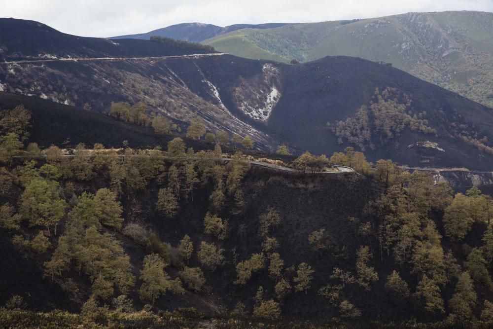 Desolación en el suroccidente asturiano tras los incendios