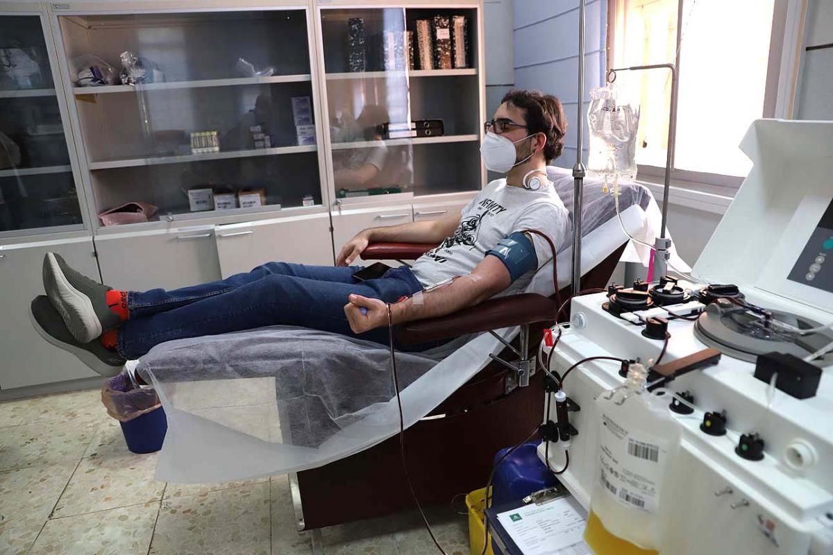 Semana del Donante: campaña especial de donación de sangre y de plasma