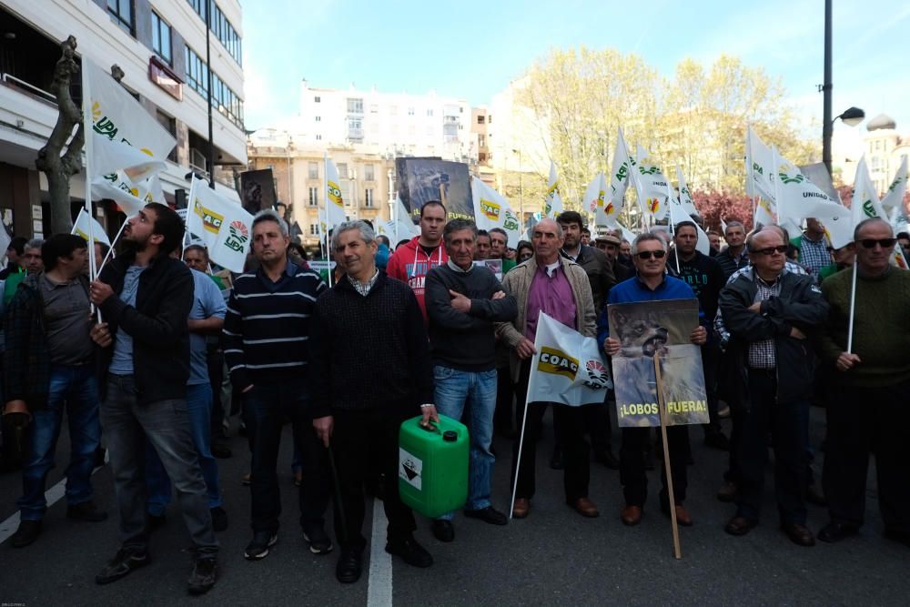 La Alianza se manifiesta en contra del lobo