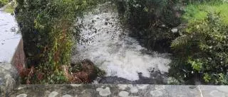 Moaña contrata la limpieza de los ríos Fraga, Inferno y Freixa