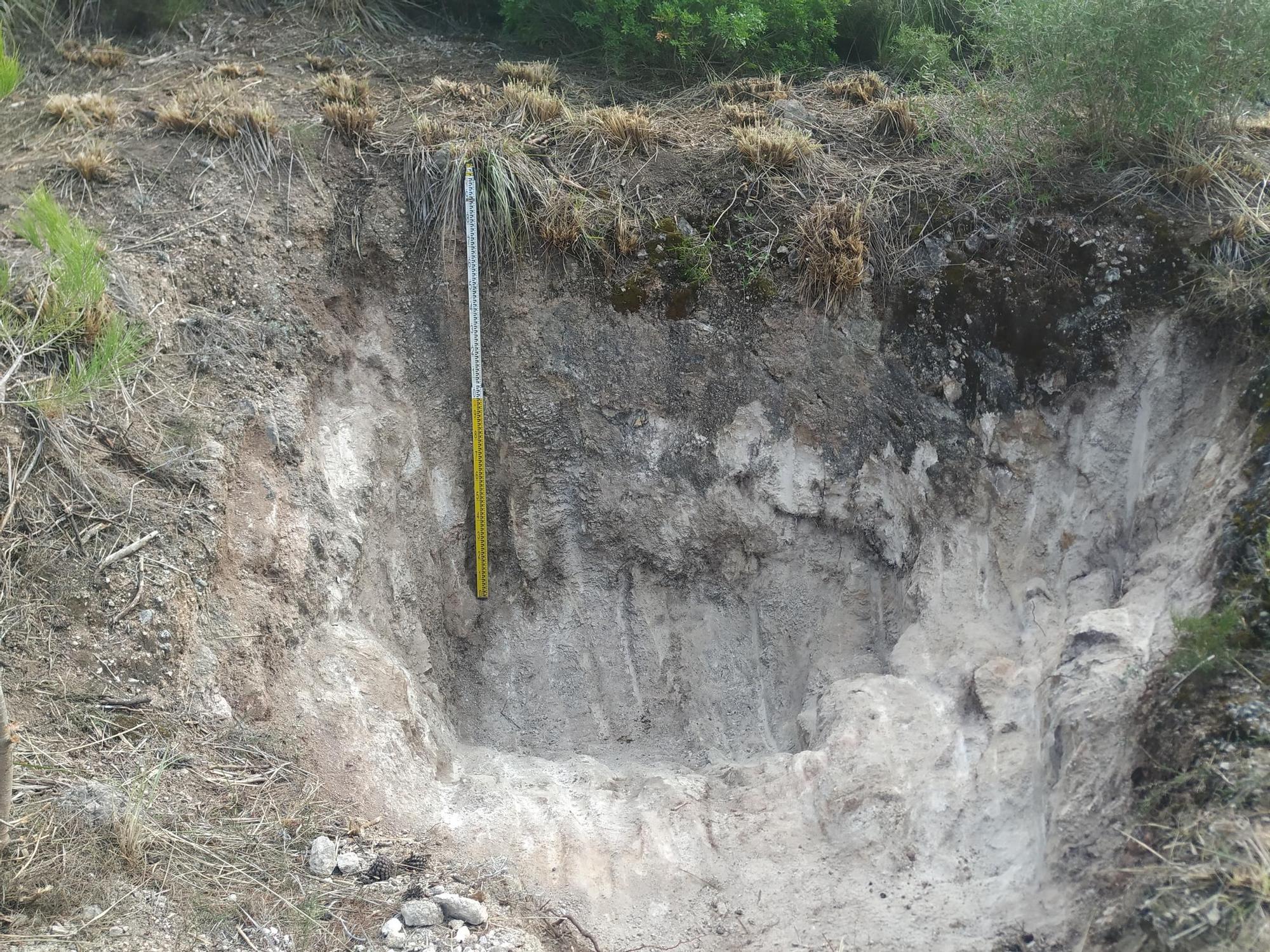 Fin a la excavación en la fosa del Coll d'Artà