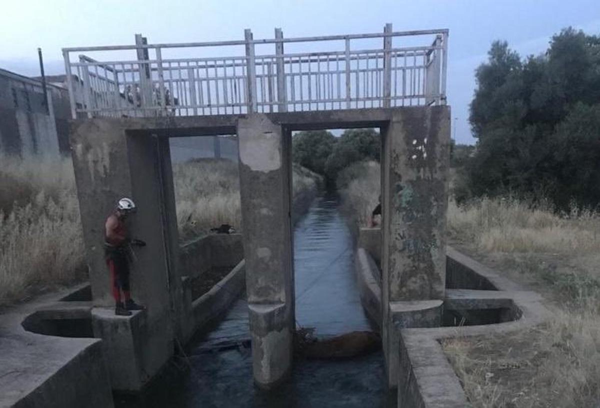Los bomberos rescatan a una vaca que había caído en el canal del Guadalmellato
