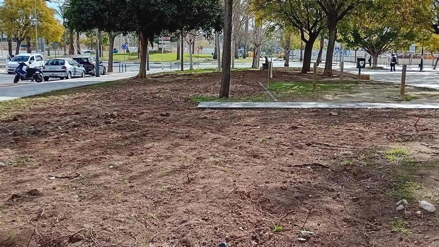 La renovación que se atrasa en un pulmón verde de San Vicente: hay que mirar al cielo