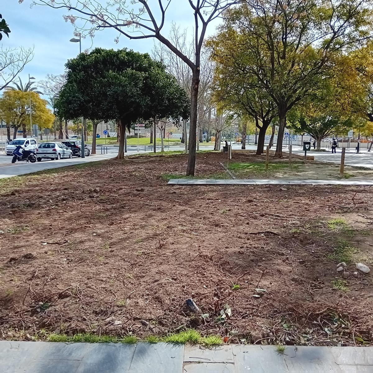 Zona verde de la avenida Vicente Savall de San Vicente, pendiente de renovación