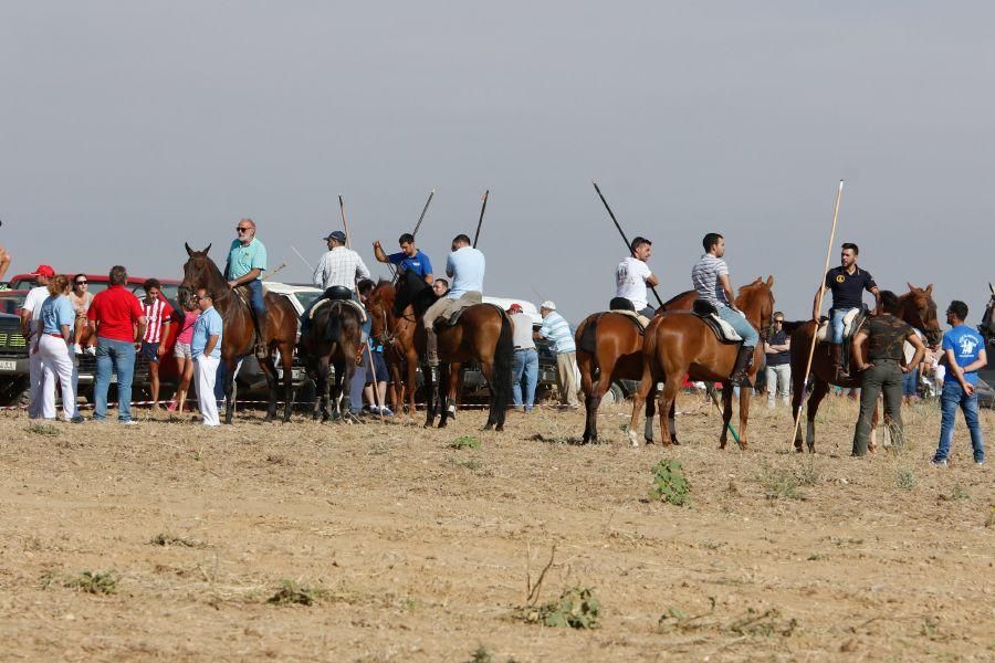 Villalpando despide los toros