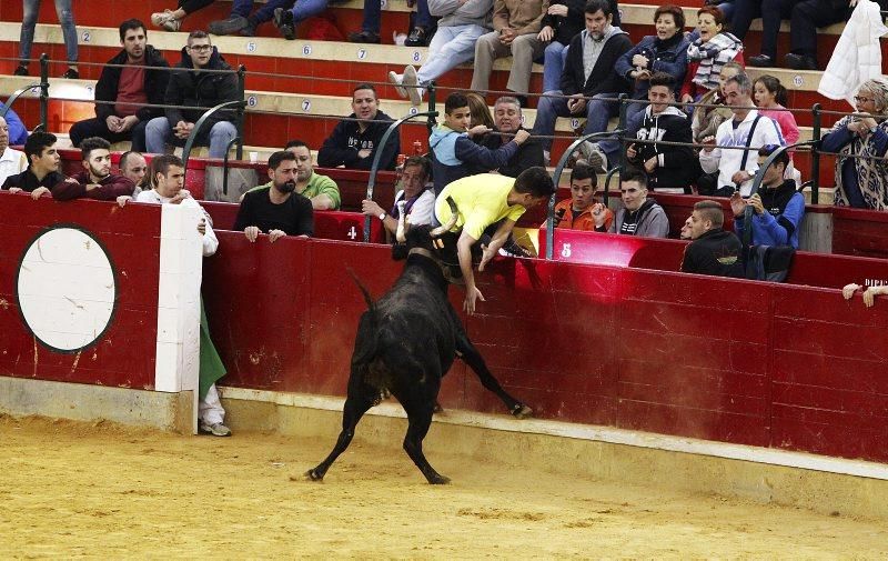 Vaquillas del 9 de octubre