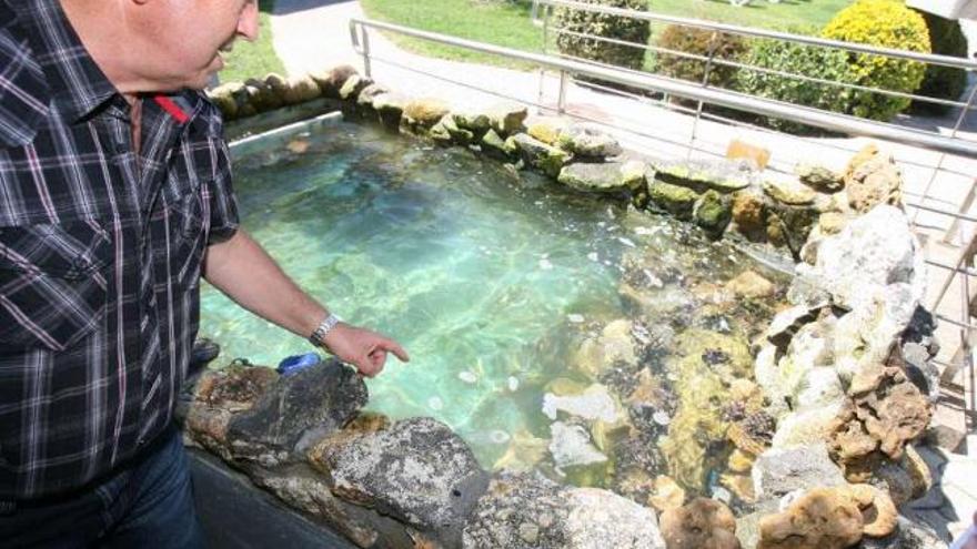 Las bateas para cultivar percebe se van a Portugal ante el &quot;desinterés&quot; de Galicia