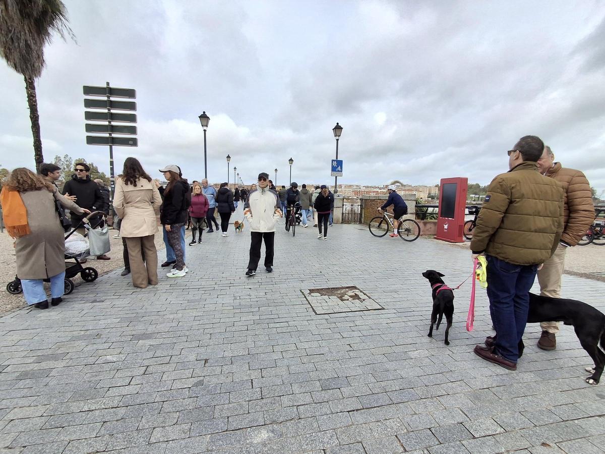 Fotogalería | El buen tiempo devuelve a los pacenses al río