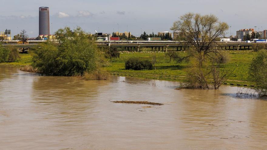 El caudal del río Guadalquivir a su paso por Sevilla.