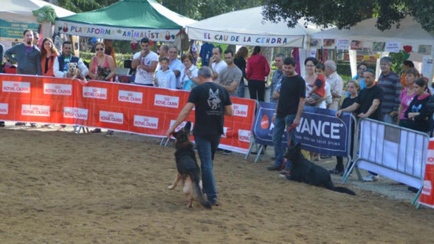 Adoptàlia té lloc al Parc Bosc.