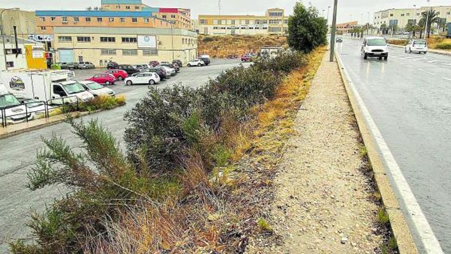 Los empresarios se quejan de que la maleza crece sin control en el área industrial. | MATÍAS SEGARRA