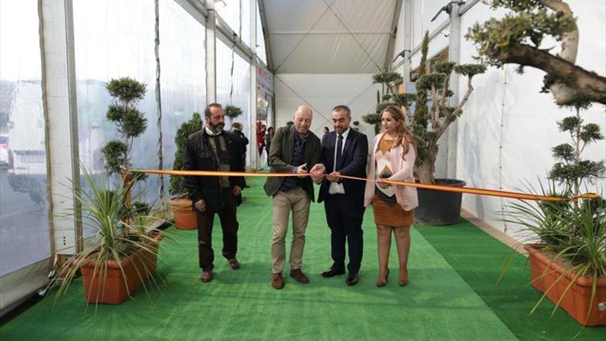 Cereslandia abre sus puertas y suma una zona infantil y una tirolina