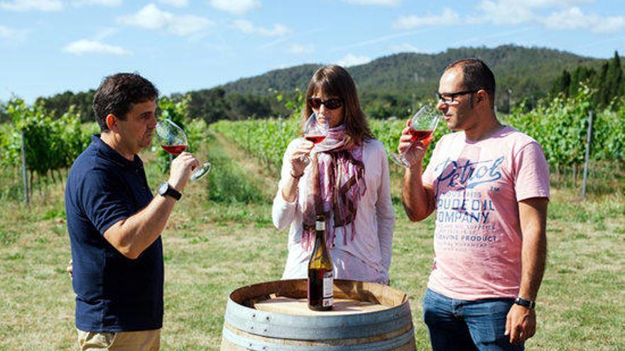 Enoturistes fent un tast a un celler de la Ruta del Vi DO Empordà