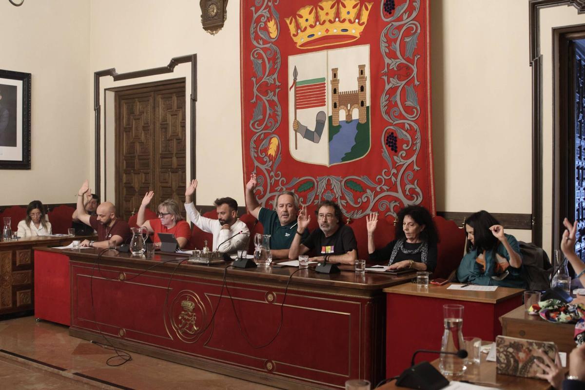 pleno del Ayuntamiento de Zamora