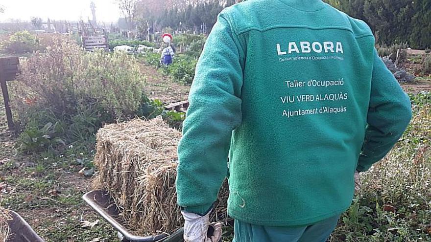 Personal de Alaquàs en el Banco de la Paja del Arroz