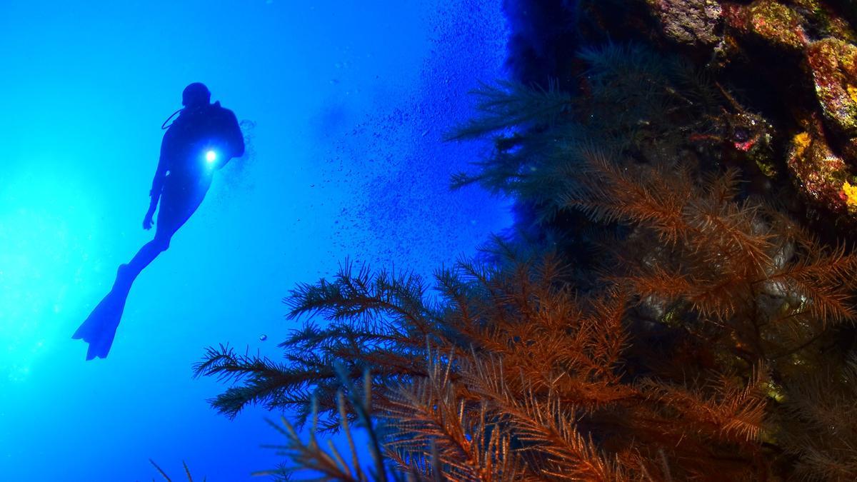 Buceo en la isla canaria de El Hierro.