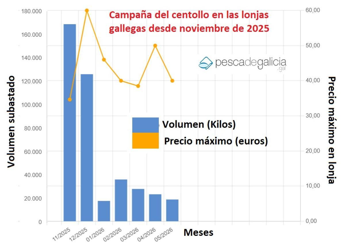 Las ventas de centollo en las lonjas gallegas durante la campaña que finaliza en cuestión de semanas.