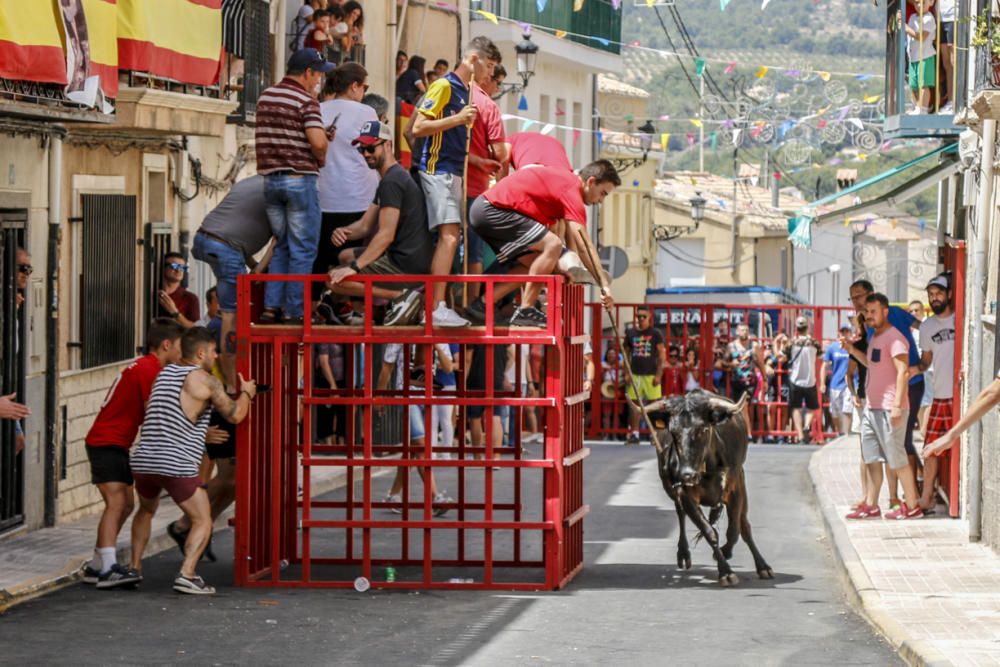 "Entrà de les Vaques" de Tibi