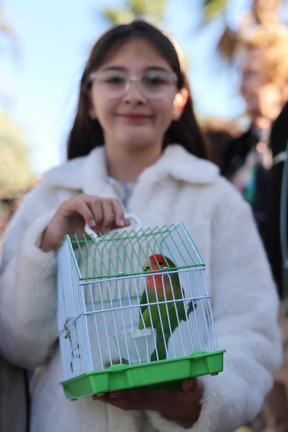 Todas las imágenes de la bendición de animales y el día grande de las fiestas de Sant Antoni