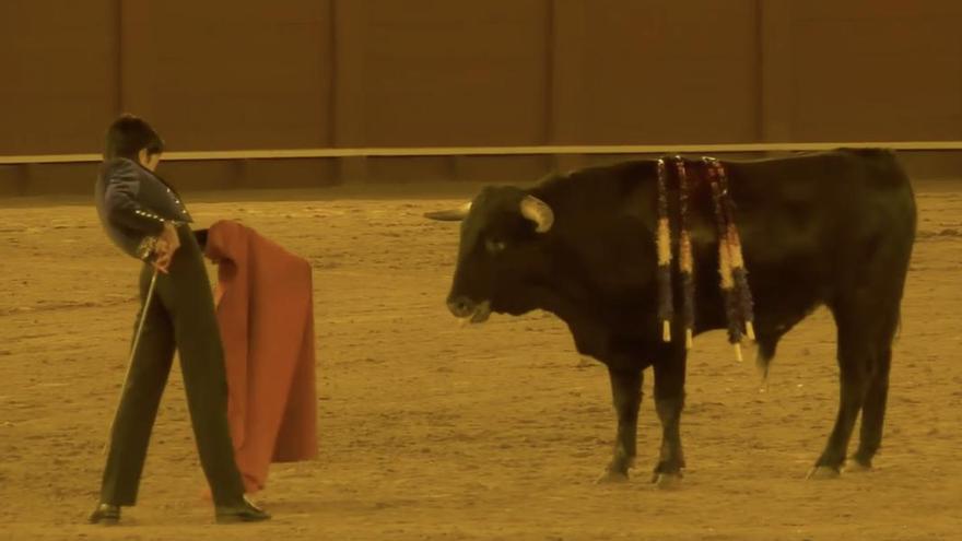 Vídeo: Así torea el niño prodigio que estará en la Magdalena de Castellón