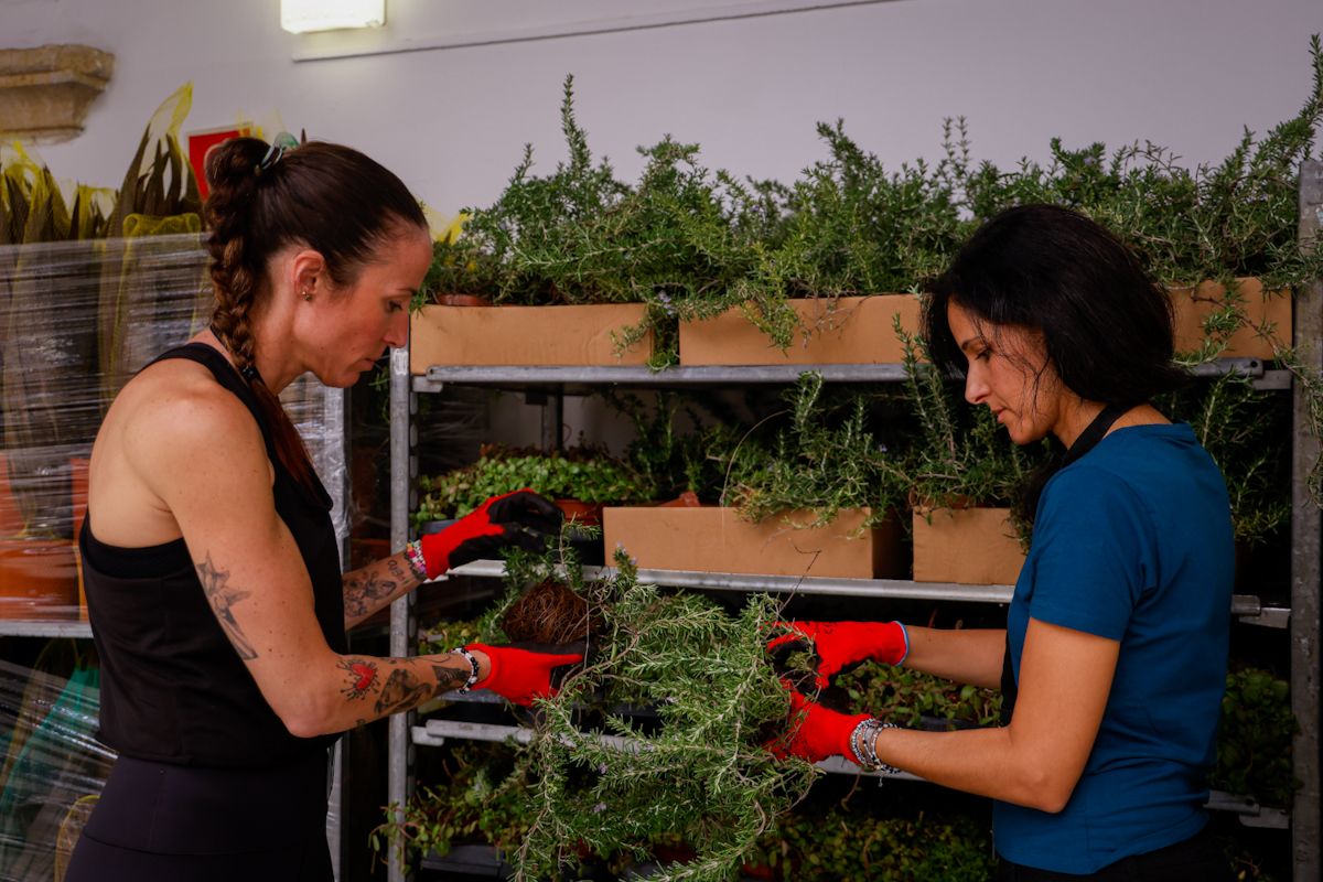 Comienza el montaje de las instalaciones de Flora 2025