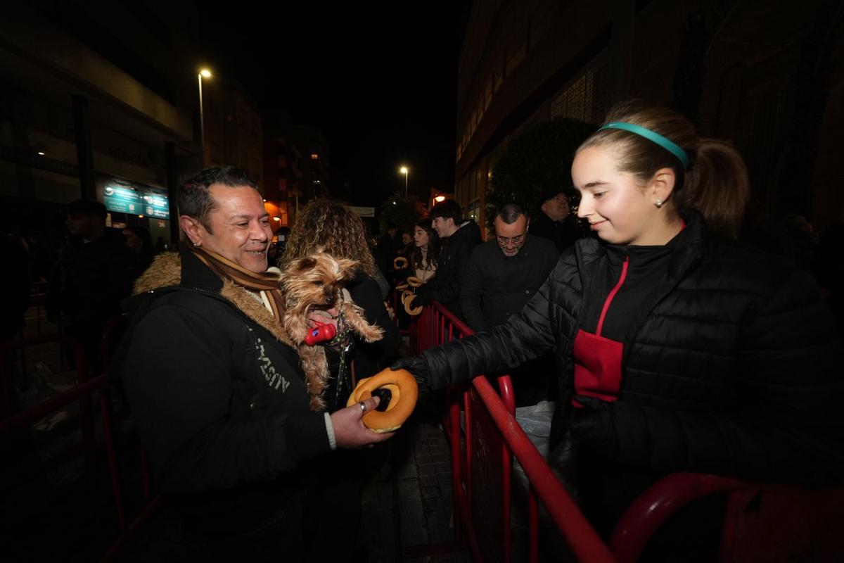 Las mascotas son las auténticas protagonistas del desfile de animales de la víspera de Sant Antoni en Vila-real.