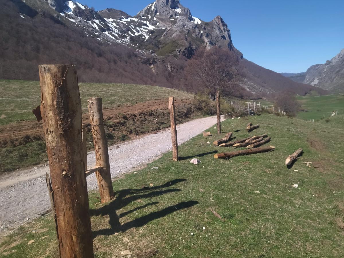 En imágenes: Reposición de cierres en Valle de Lago (Somiedo) tras el rodaje de Los juegos del hambre