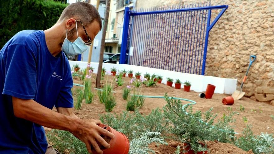 El Centro Especial de Empleo de Mater ofrece un aplio catálogo de servicios para empresas e instituciones.