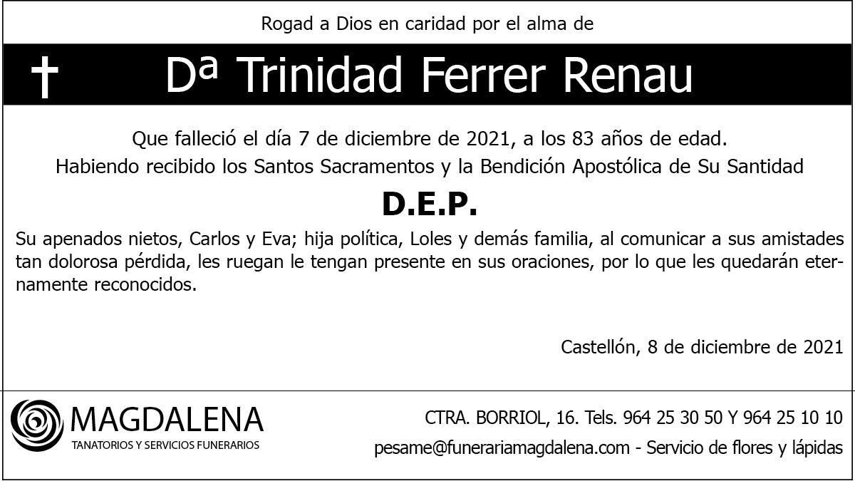 Dª Trinidad Ferrer Renau