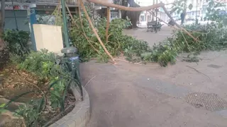 Susto en Miraflores de los Ángeles