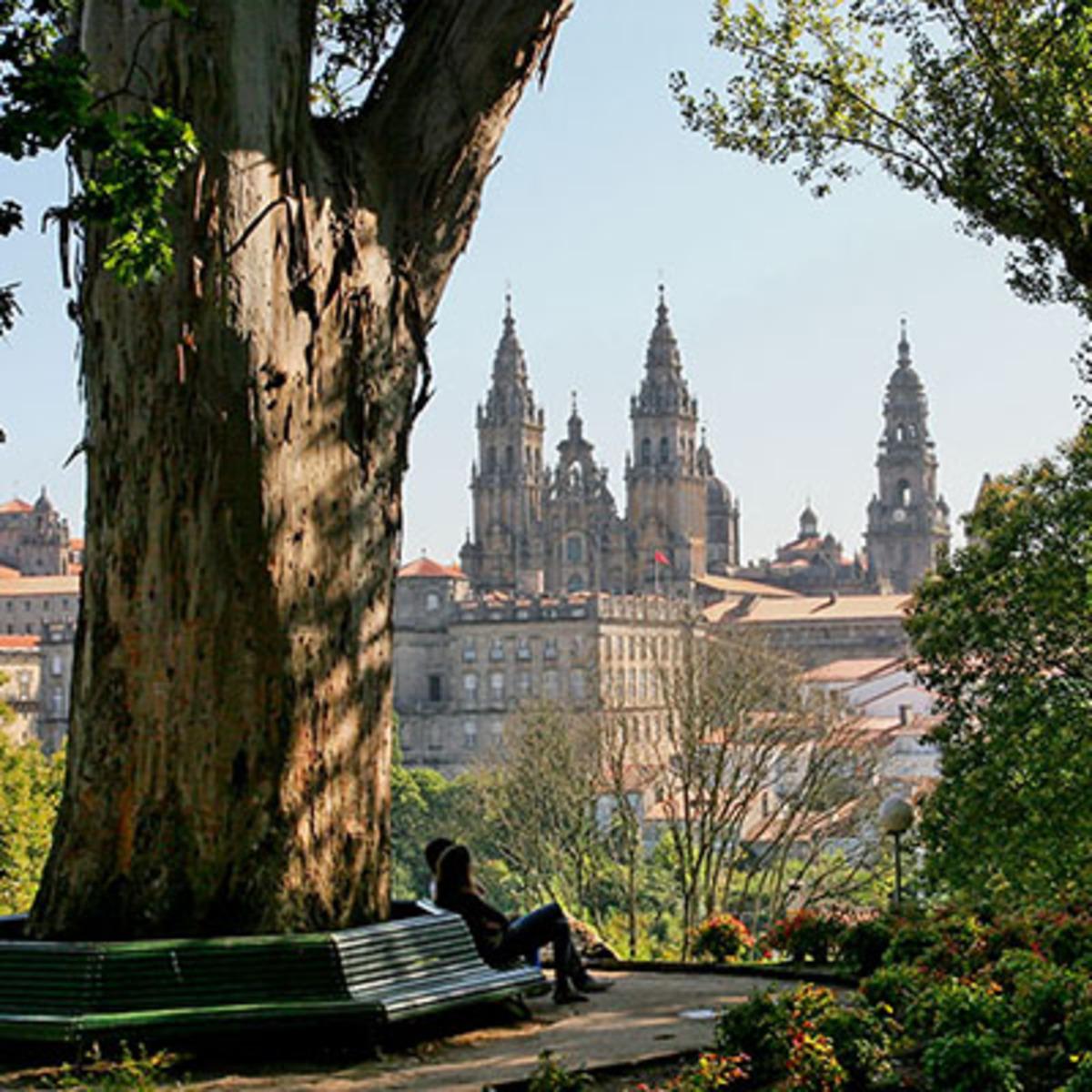 'Árbol de los enamorados' en la Alameda de Santiago