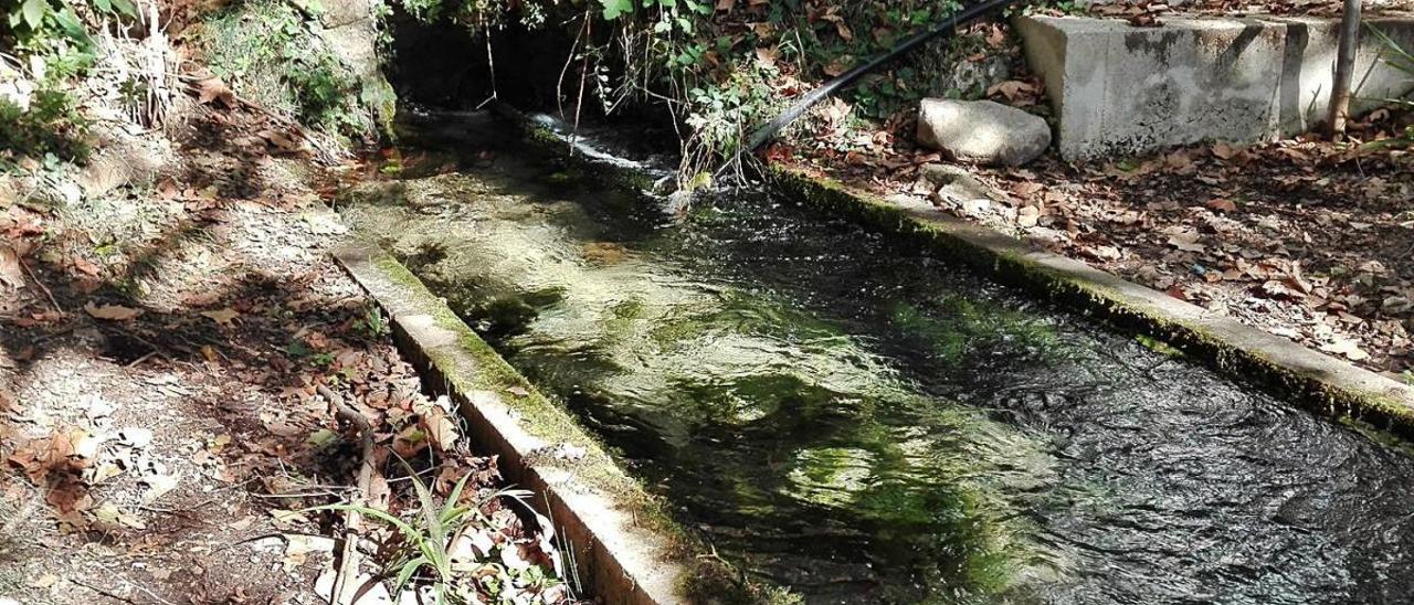 Fuente de la Pobla de Benifassà en que se ha localizado el microcaracol.