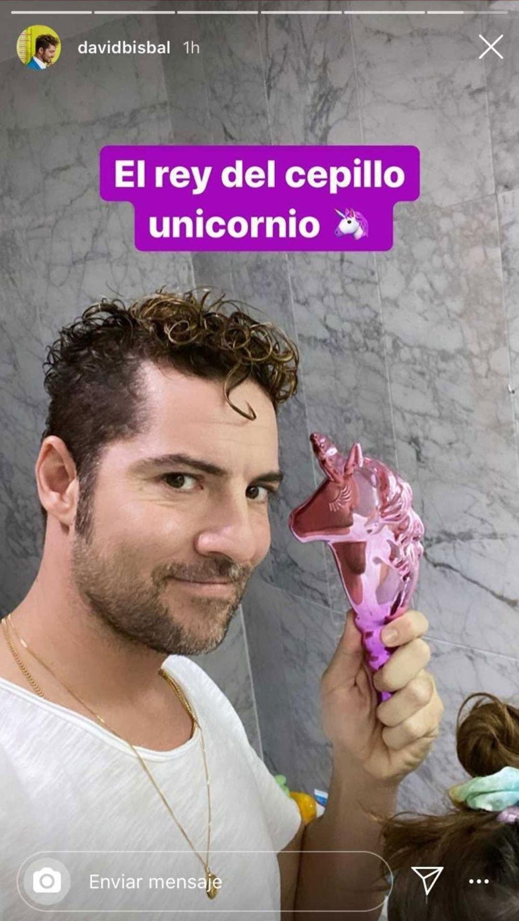 David Bisbal y su cepillo rosa de unicornio.